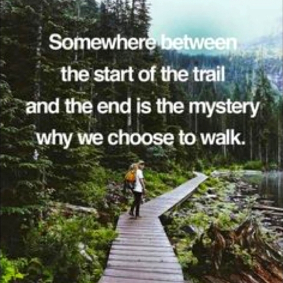 🌲 LANDS' END Spruce Tailored WOOL  Cardigan EUC Sz 14 VNUC 🌲 Pockets 😉 - Picture 14 of 16